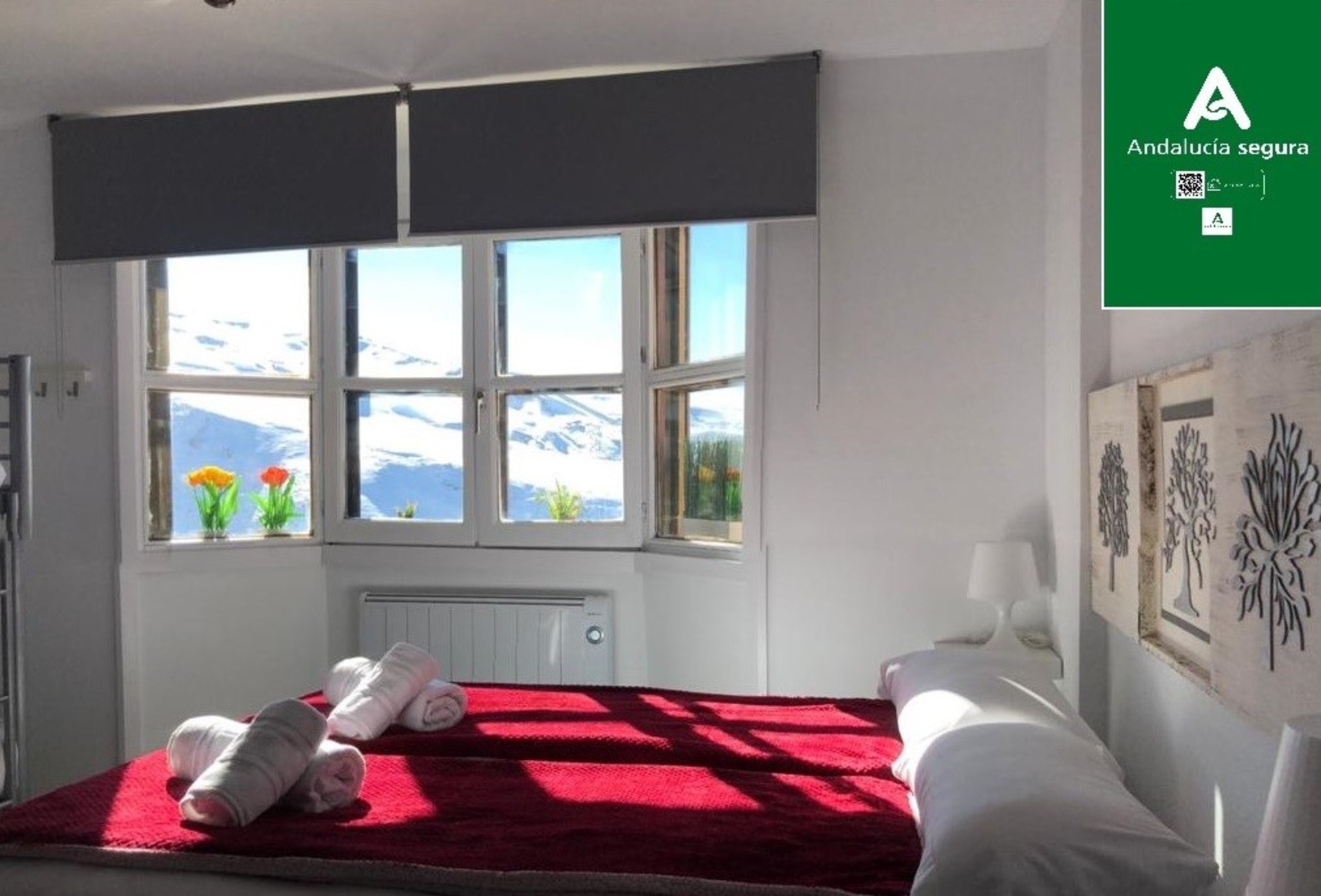 varwwwvhostsimedaapartamentos.eshttpdocswp contentuploads105 3.jpg